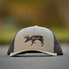 Chasing Buck Trucker Hat